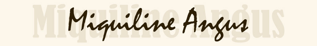 Contact Miquiline Angus for more information