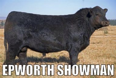 Epworth Showman - 
